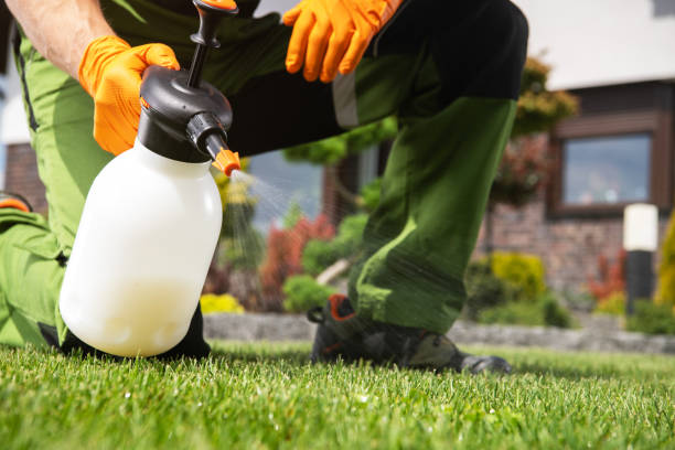 Best Mosquito Control Services  in Claxton, GA