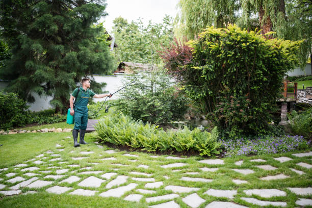 Best Ant Control Services  in Claxton, GA