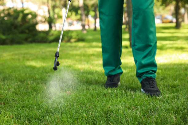 Best Emergency Pest Control  in Claxton, GA