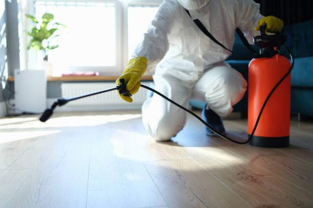 Best Flea Control Services  in Claxton, GA