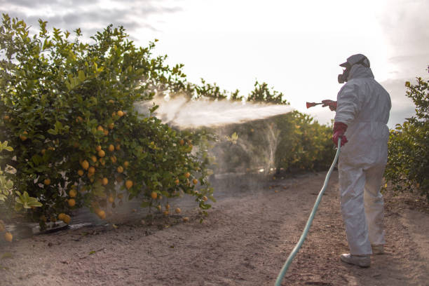 Best Wildlife Control Services  in Claxton, GA