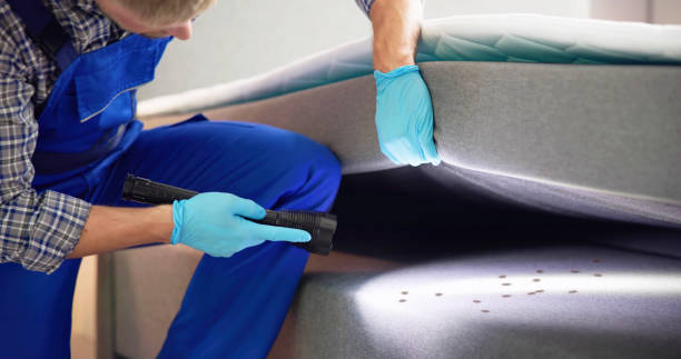Best Cockroach Control Services  in Claxton, GA