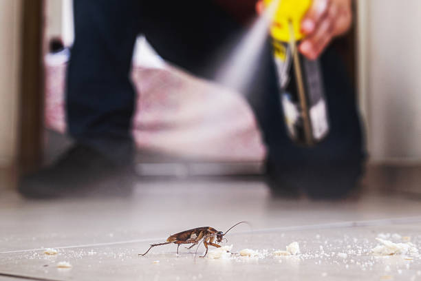 Best Residential Pest Control  in Claxton, GA