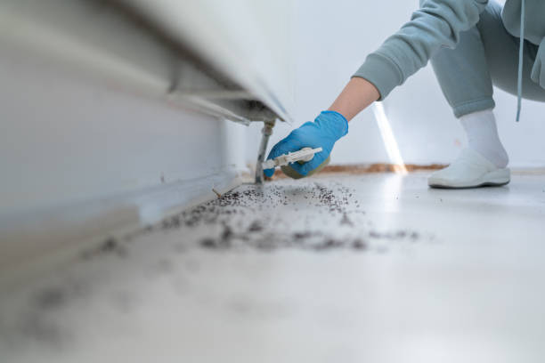 Claxton, GA Pest Control Company